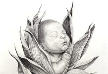 Rubí Hernández artwork