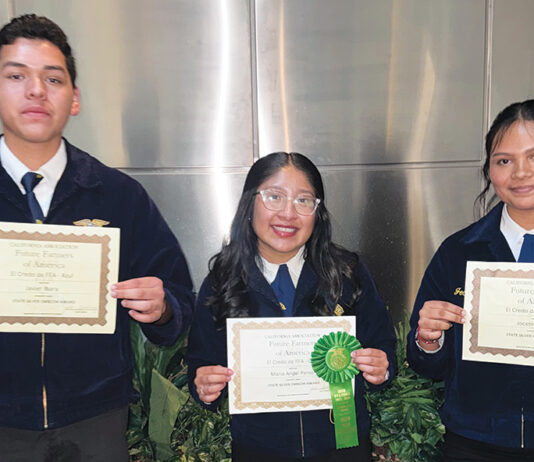 King City FFA students earn top honors at state, regional contests King City FFA awards