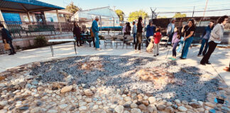 Swimming Turtles mosaic