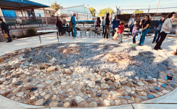 Swimming Turtles mosaic