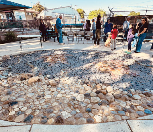 Swimming Turtles mosaic