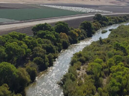 Salinas River aerial