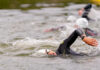 Wildflower Experience triathlon swimmers
