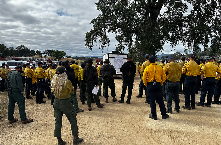Firefighters