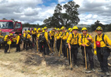 Fort Hunter Liggett conducts prescribed burns ahead of fire season Firefighters