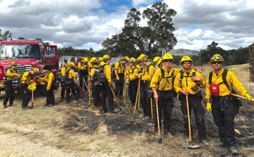 Firefighters