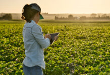 Nominations sought to honor Monterey County women in agriculture Smart farmer woman agronomist checks the field with tablet