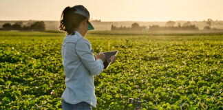 Smart farmer woman agronomist checks the field with tablet