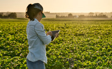 Smart farmer woman agronomist checks the field with tablet
