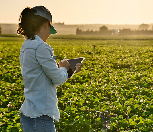 Smart farmer woman agronomist checks the field with tablet