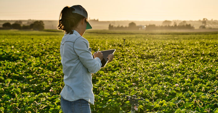 Agriculture women AdobeStock_531733658 Smart farmer woman agronomist checks the field with tablet
