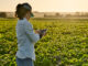 Smart farmer woman agronomist checks the field with tablet