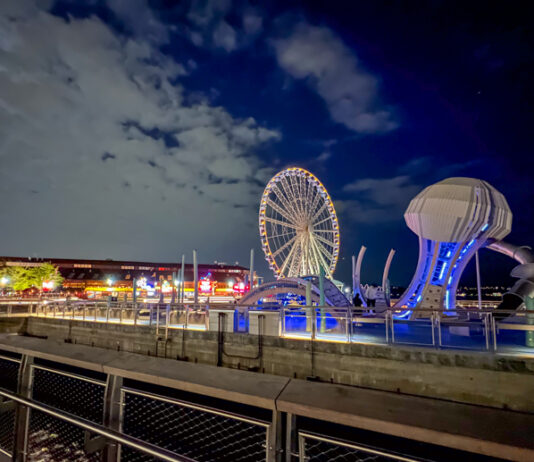 Passport Diaries Column | Quick Trip to The Emerald City Well Worth the Trek Seattle