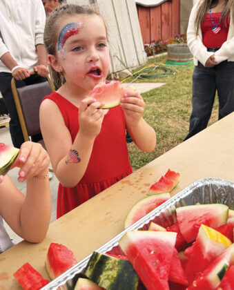 King City Young Farmers Fourth of July BBQ Fundraiser