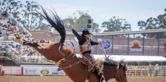 Saddle Bronc Riding