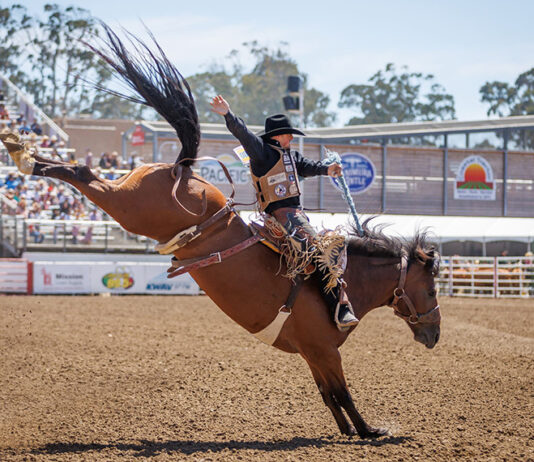 Saddle Bronc Riding