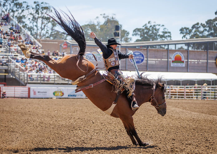 Saddle Bronc Riding