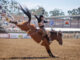 California Rodeo Salinas generates nearly $22M in total economic impact Saddle Bronc Riding