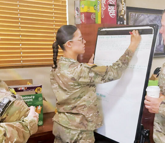 Operation Bold Eagle