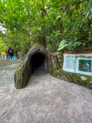 Enchanted Forest