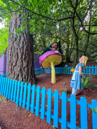 Enchanted Forest