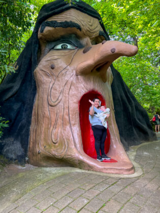 Enchanted Forest