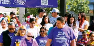 Paint the Valley Purple