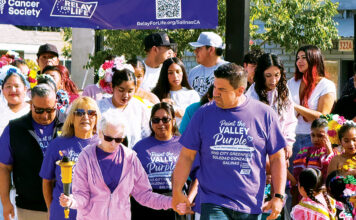 Paint the Valley Purple