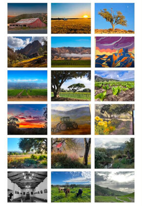 Art and photography contest submissions