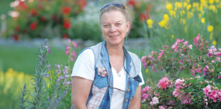 Candi DePauw
