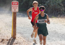 Cross country runners