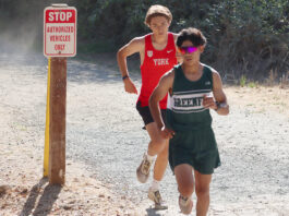 Cross country runners