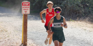 Cross country runners