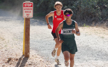 Cross country runners