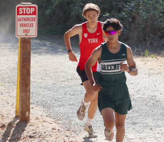 Cross country runners