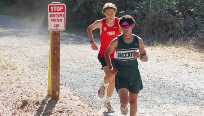 Cross country runners