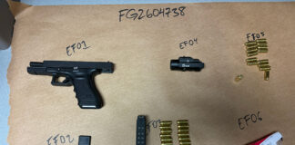 firearm and ammunition