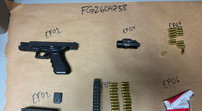 firearm and ammunition