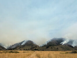 Plaskett fire smoke