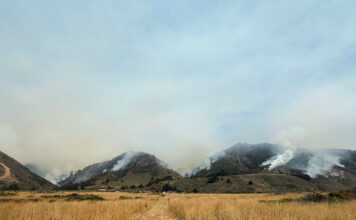 Plaskett fire smoke