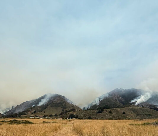 Wildfire smoke prompts air quality advisory in South Monterey County Plaskett fire smoke
