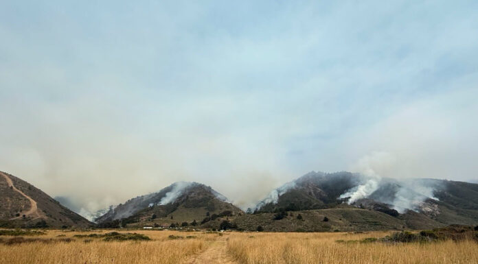 Plaskett fire smoke