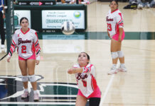 Greenfield volleyball