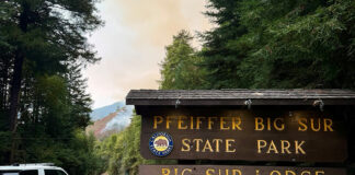 Pfeiffer Big Sur State Park