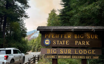 Pfeiffer Big Sur State Park
