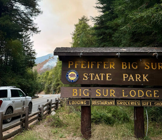 Pfeiffer Big Sur State Park
