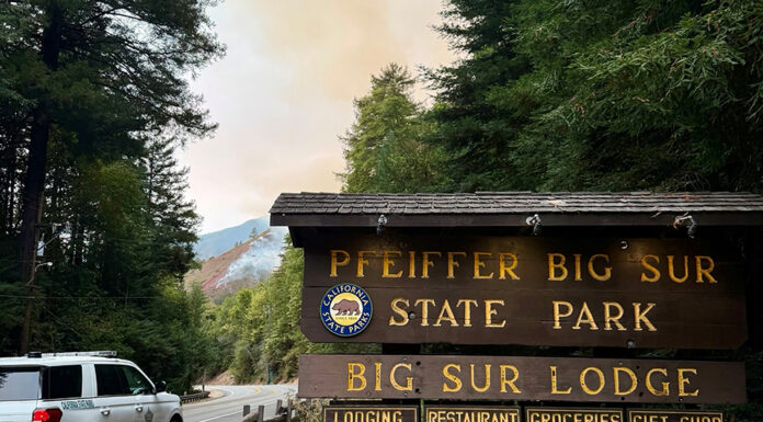 Pfeiffer Big Sur State Park