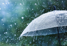 Rain storm weather umbrella
