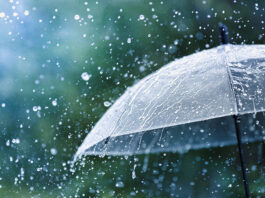 Rain storm weather umbrella