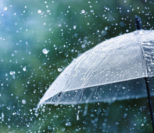 Rain storm weather umbrella